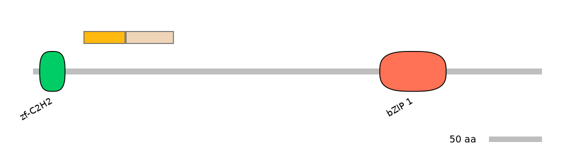 HsaINT0013825-EXC