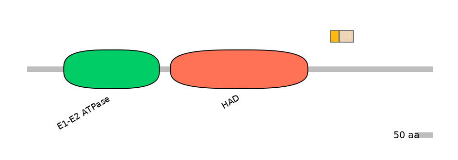 HsaINT0015317-EXC