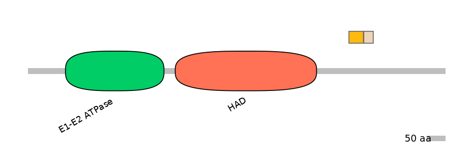 HsaINT0015318-EXC