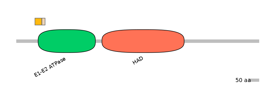 HsaINT0015327-EXC