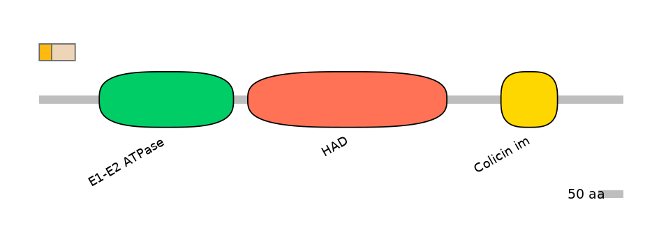 HsaINT0015337-EXC