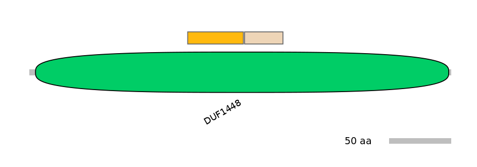 HsaINT0016925-EXC