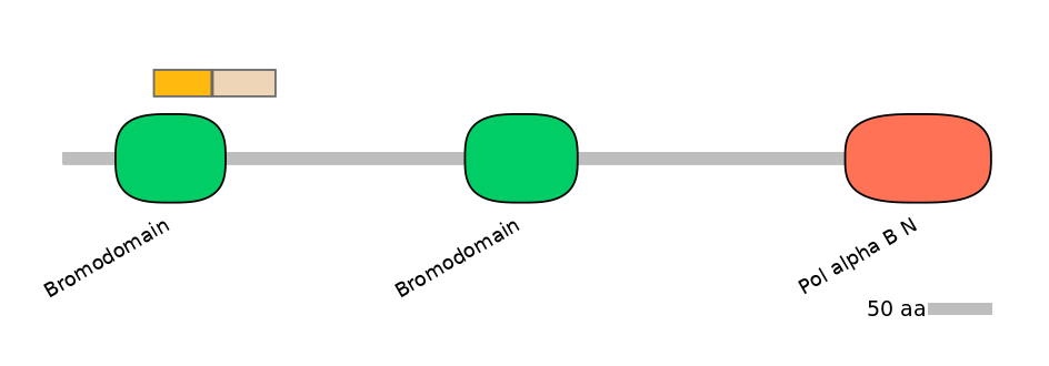 HsaINT0018490-EXC