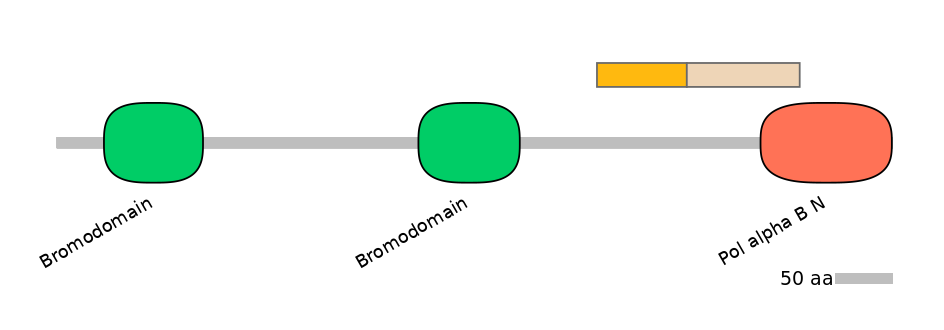 HsaINT0018496-EXC