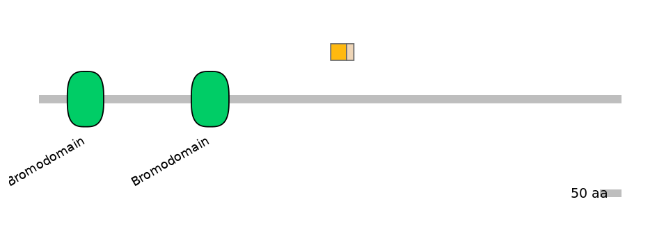 HsaINT0018499-EXC