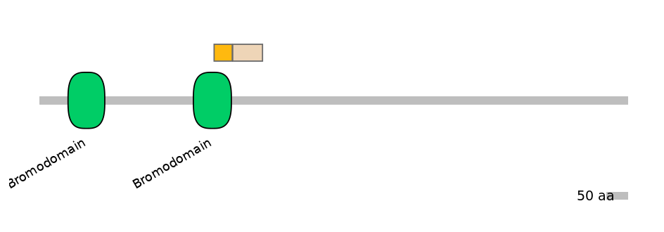 HsaINT0018505-EXC