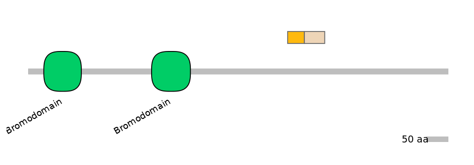 HsaINT0018579-EXC