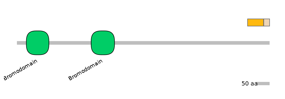 HsaINT0018586-EXC