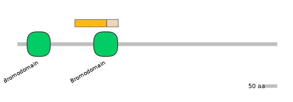 HsaINT0018591-EXC