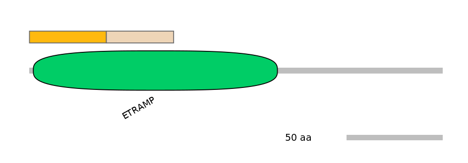 HsaINT0021658-EXC