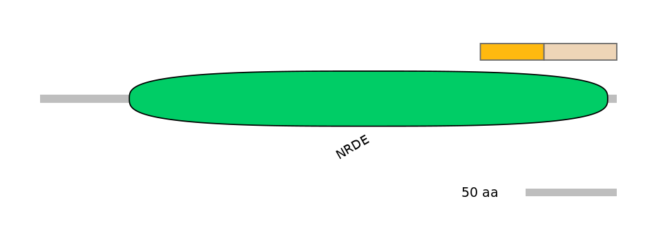 HsaINT0023206-EXC