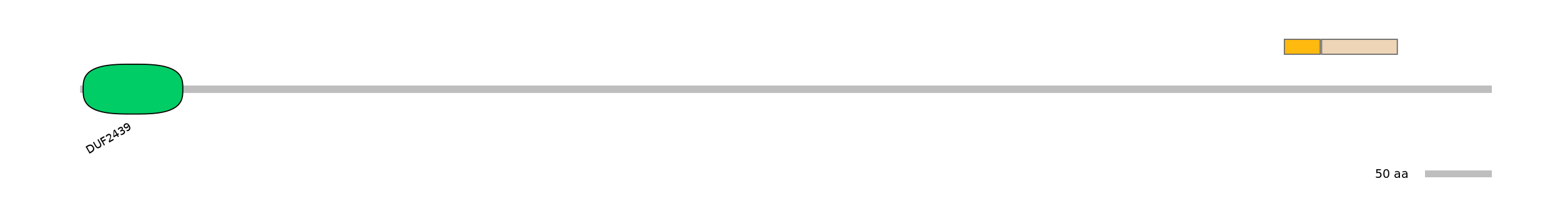 HsaINT0024072-EXC