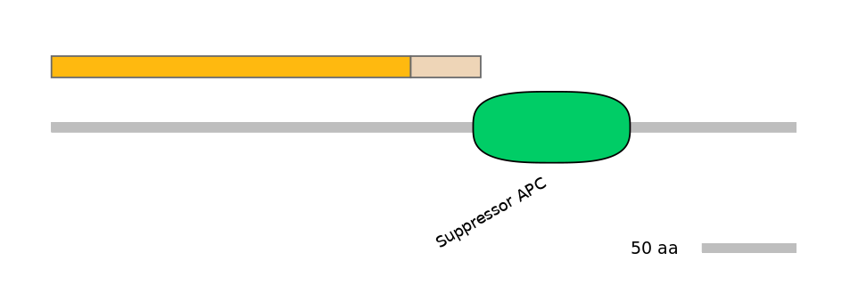 HsaINT0025354-EXC