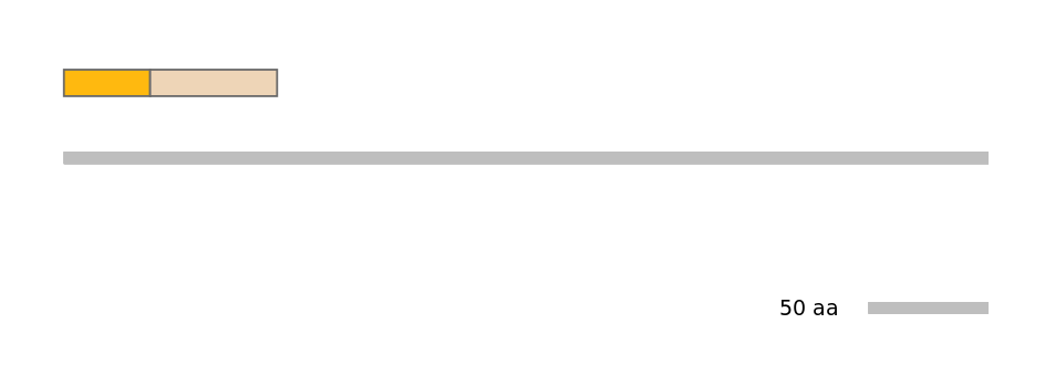 HsaINT0025390-EXC