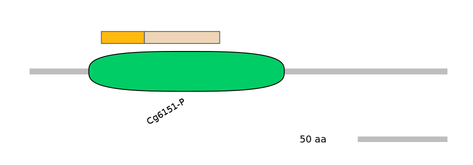 HsaINT0025520-EXC