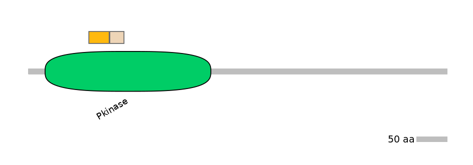 HsaINT0025663-EXC