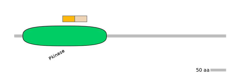 HsaINT0025665-EXC