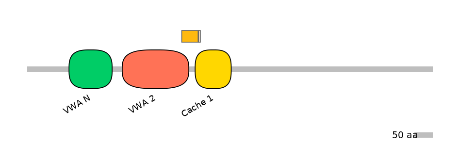 HsaINT0026471-EXC
