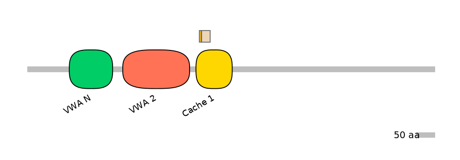 HsaINT0026472-EXC