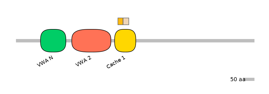 HsaINT0026473-EXC