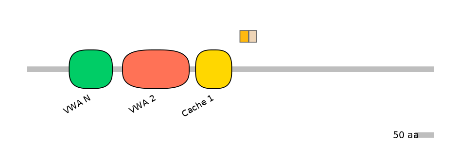 HsaINT0026477-EXC