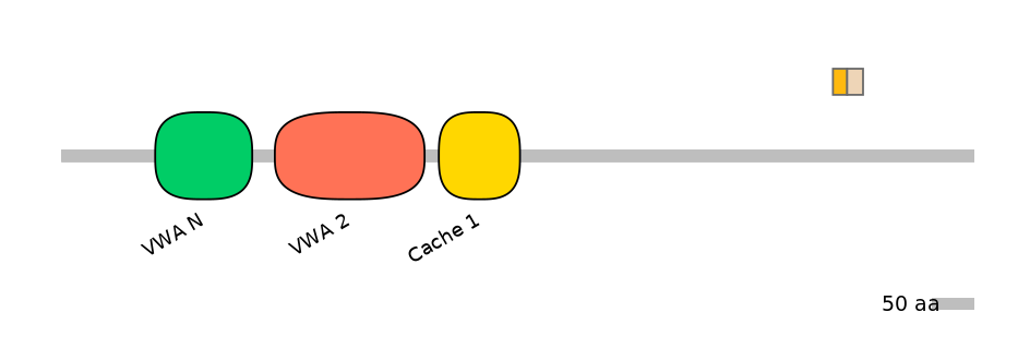 HsaINT0026493-EXC