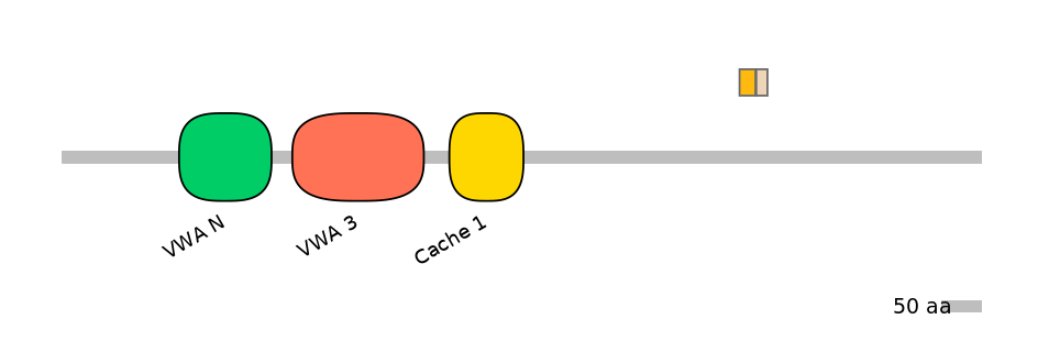 HsaINT0026523-EXC