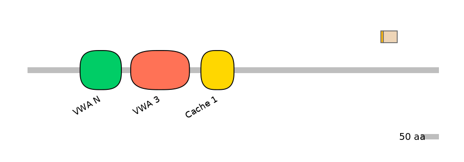HsaINT0026531-EXC