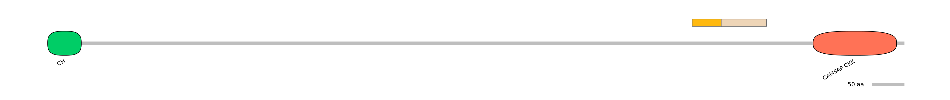 HsaINT0027161-EXC