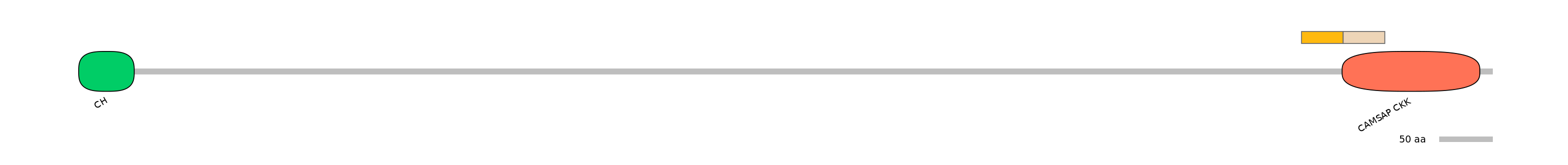 HsaINT0027164-EXC