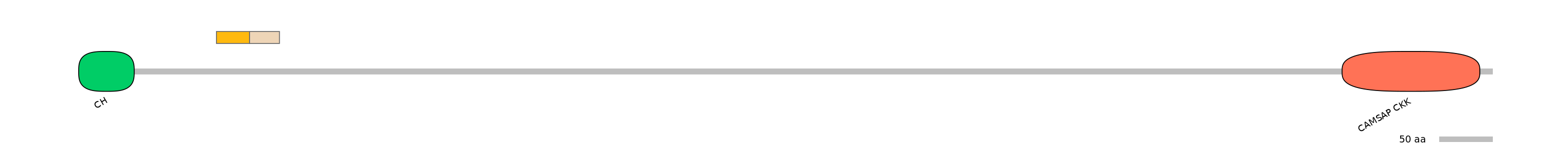 HsaINT0027173-EXC
