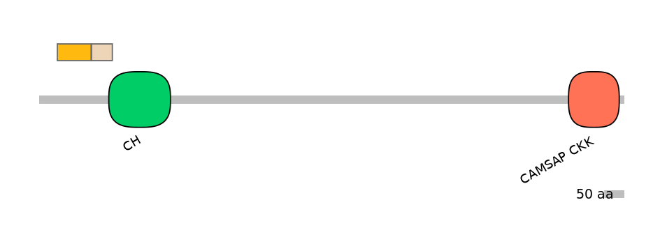 HsaINT0027182-EXC