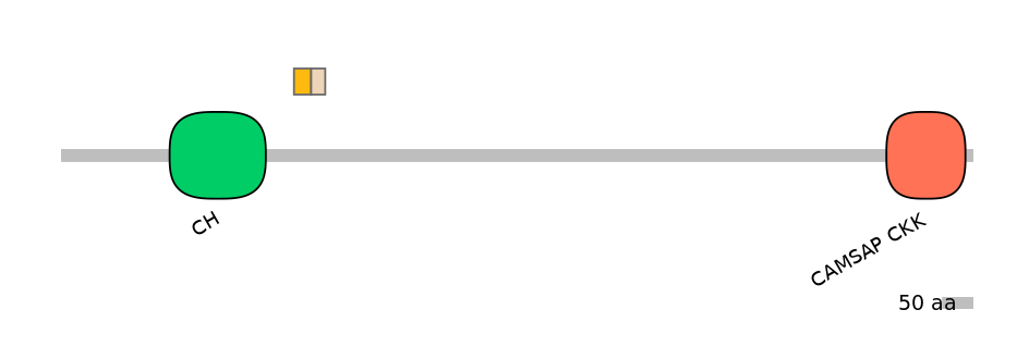 HsaINT0027189-EXC