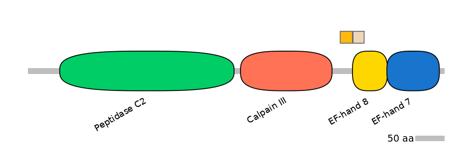 HsaINT0027323-EXC