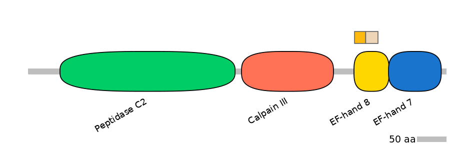 HsaINT0027324-EXC