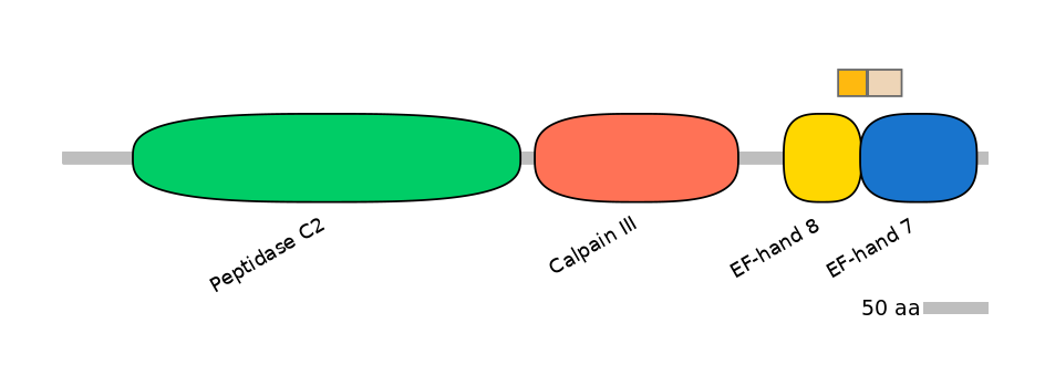 HsaINT0027326-EXC