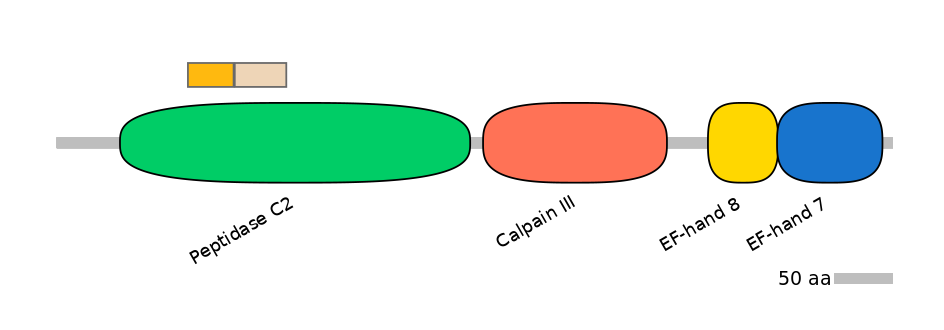 HsaINT0027332-EXC