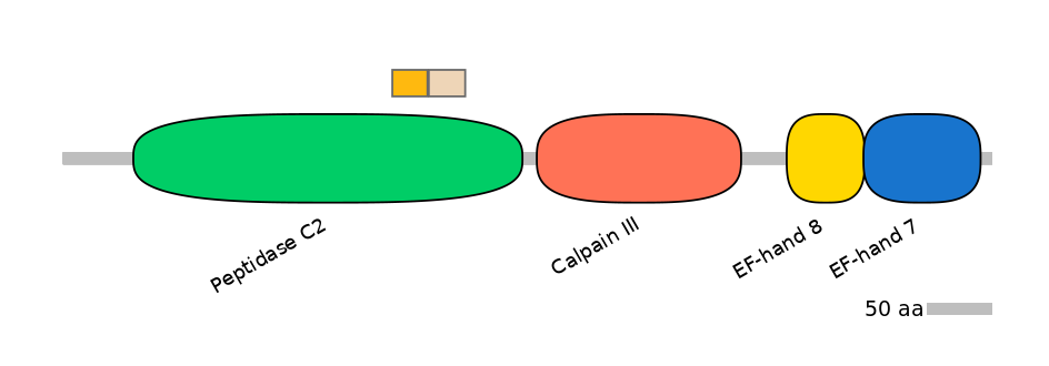 HsaINT0027335-EXC
