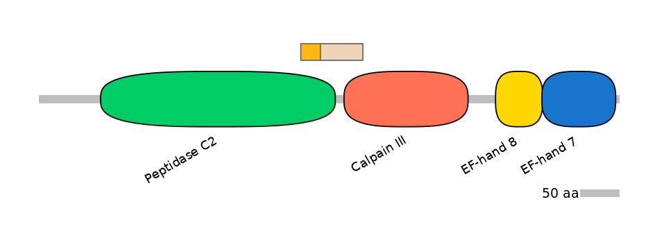HsaINT0027351-EXC