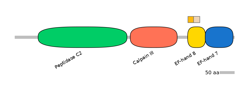 HsaINT0027358-EXC