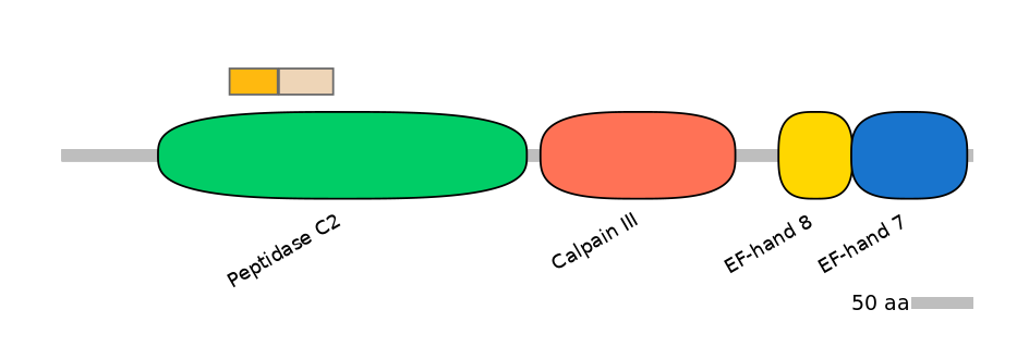 HsaINT0027367-EXC