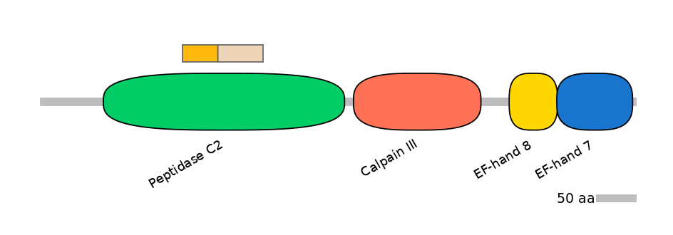 HsaINT0027368-EXC