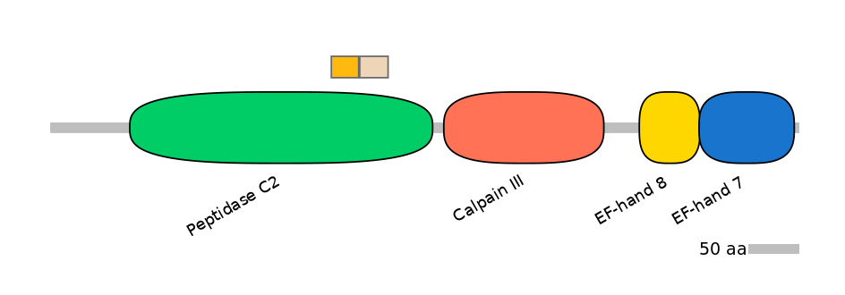 HsaINT0027370-EXC