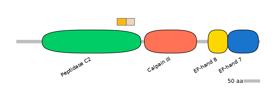 HsaINT0027371-EXC