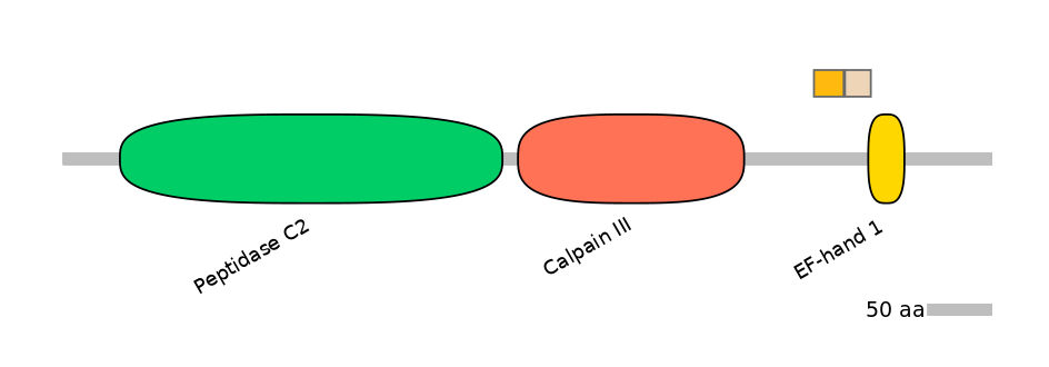 HsaINT0027379-EXC