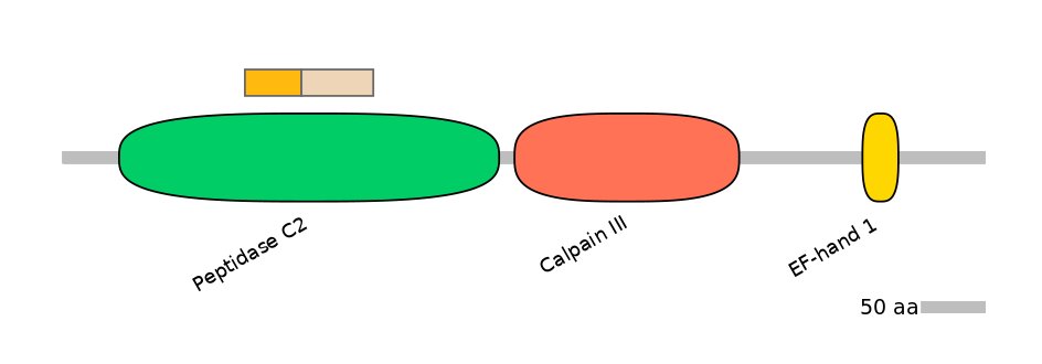 HsaINT0027386-EXC