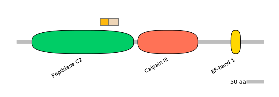 HsaINT0027388-EXC