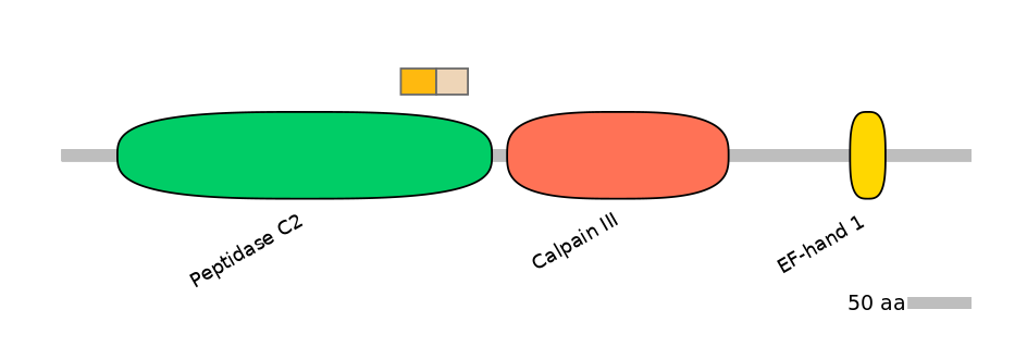 HsaINT0027389-EXC