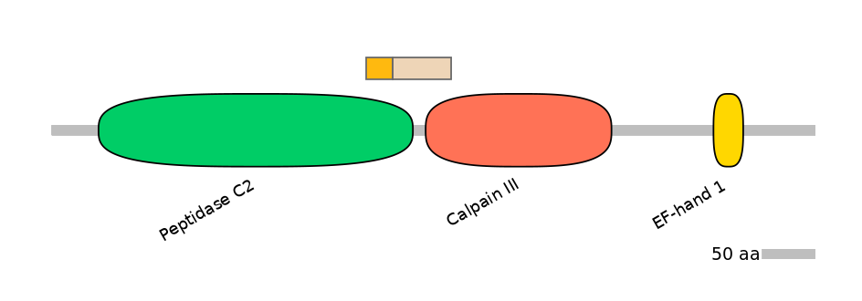 HsaINT0027390-EXC