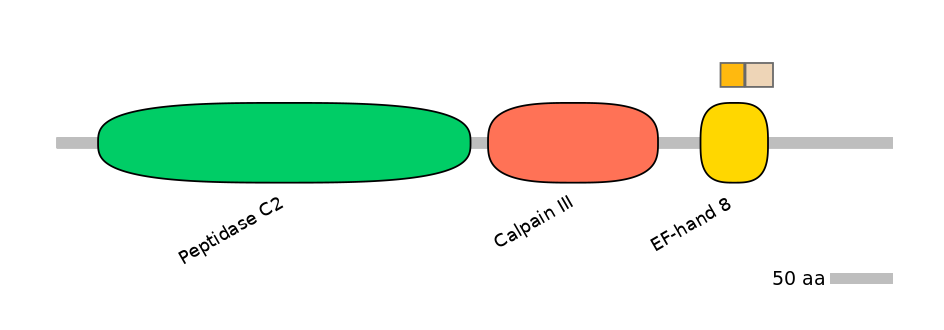 HsaINT0027400-EXC